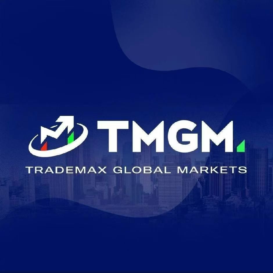TMGM平台深度使用体验